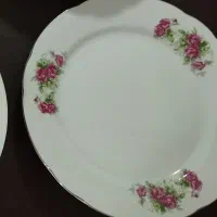 ظروف قدیمی و نوستالژی چینی گل سرخ