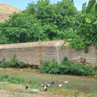 زمین تجاری حاشیه جمهوری