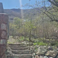 فروش باغچه سند تک برگ