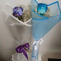 گل های رز زیبا تمیزوسالم وسبدای گل