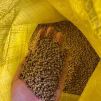 فروش غذای ماهی کپور با قیمت ویژه