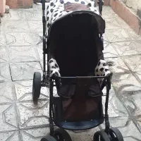 کالسکه سالم بدون شکستگی تمیز مرتب