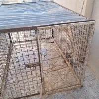 قفس مرغو خروس