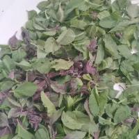محصولات خانگی