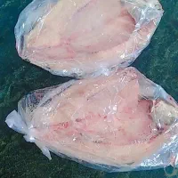 ماهی قزل آلا سایز متوسط موجوده تازه کیلویی ۳۴۰