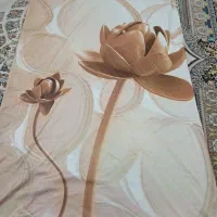 پرده پانچی