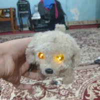 اسباب بازی
