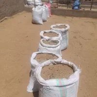 فروش ارزان کود گوسفندی نرم و خشک