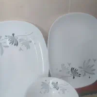 ظرف آروکوپال فرانسه قدیمی