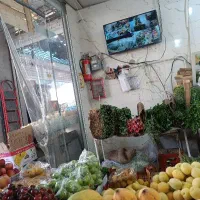 صندوق دار خانم در میوه فروشی فقط عصر