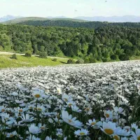 تور یکروزه دشت فندقلو