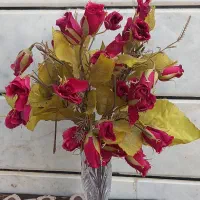 خیلی زیبا