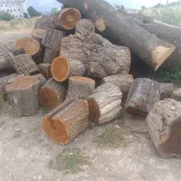 مرکز خرید وفروش چوب «نقدی»