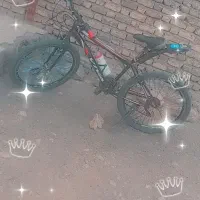 سالم