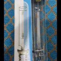 لامپ خیاری