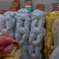سرلاشه هاشمی