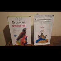 تخم ..مرغ مینا