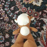 عروسک|اسباب‌بازی بچه|ایذه, |دیوار
