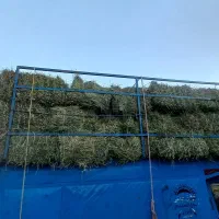 یونجه خالص خشک