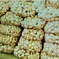 فروش تفاله پیاز و سیر پوست کنده