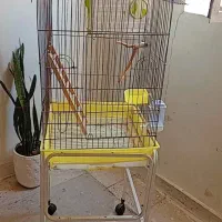 قفس پایه دار بزرگ سالم