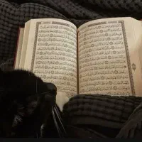 سرکتاب با نیت شما عزیزان / دعا / تاروت