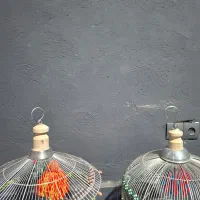سهره خاکی ریزخونی میکنن شاه جوجه عالی