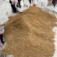 توت خشک