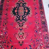 قالی  کردی تمام پشم