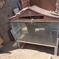 اکواریوم