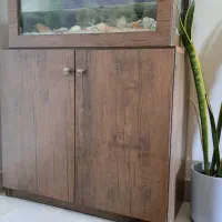 اکواریوم بامیز