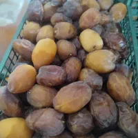 رطب درجه یک خشت