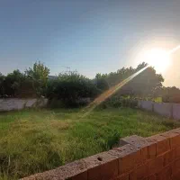 فروش-زمین-در-گلسار