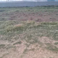 فروش فوری زمین ۱۰۰۰ متری در سپیدان (رودبال)