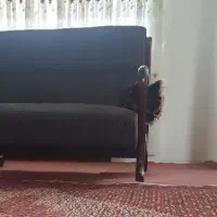 همخونه میشم