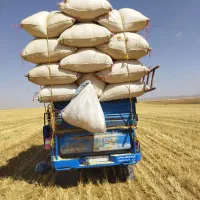 خریدار کاه