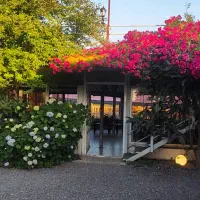 برای کار در رستوران