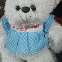 تعدادی عروسک خرسی