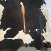 فرش