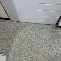 موکت پالاز
