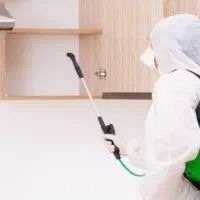 سمپاشی موریانه ، سوسک سم پاشی ، ساس، موش