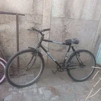 دوچرخه برند دماوند