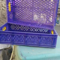 سبدی