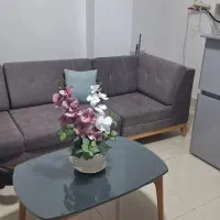 مبل نو