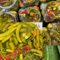 1233654|خوردنی و آشامیدنی|بابا حیدر, |دیوار