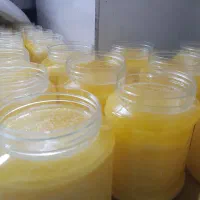 روغن زرد گاوی پخت تازه برای ماه مبارک