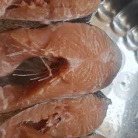 ماهی جنوب