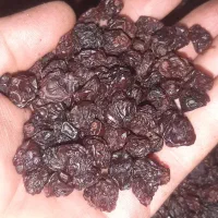 کشمش حلوایی