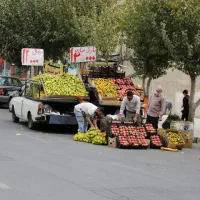 شریک برا میوه فروشی با وانت جای ثابت
