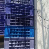 سبد پلاستیکی